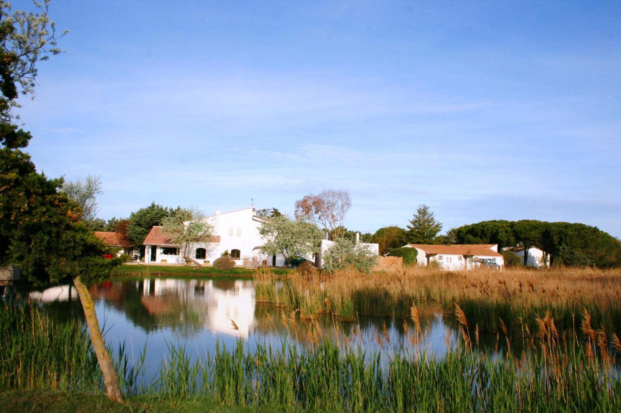 Les Rizieres Saintes-Maries-de-la-Mer