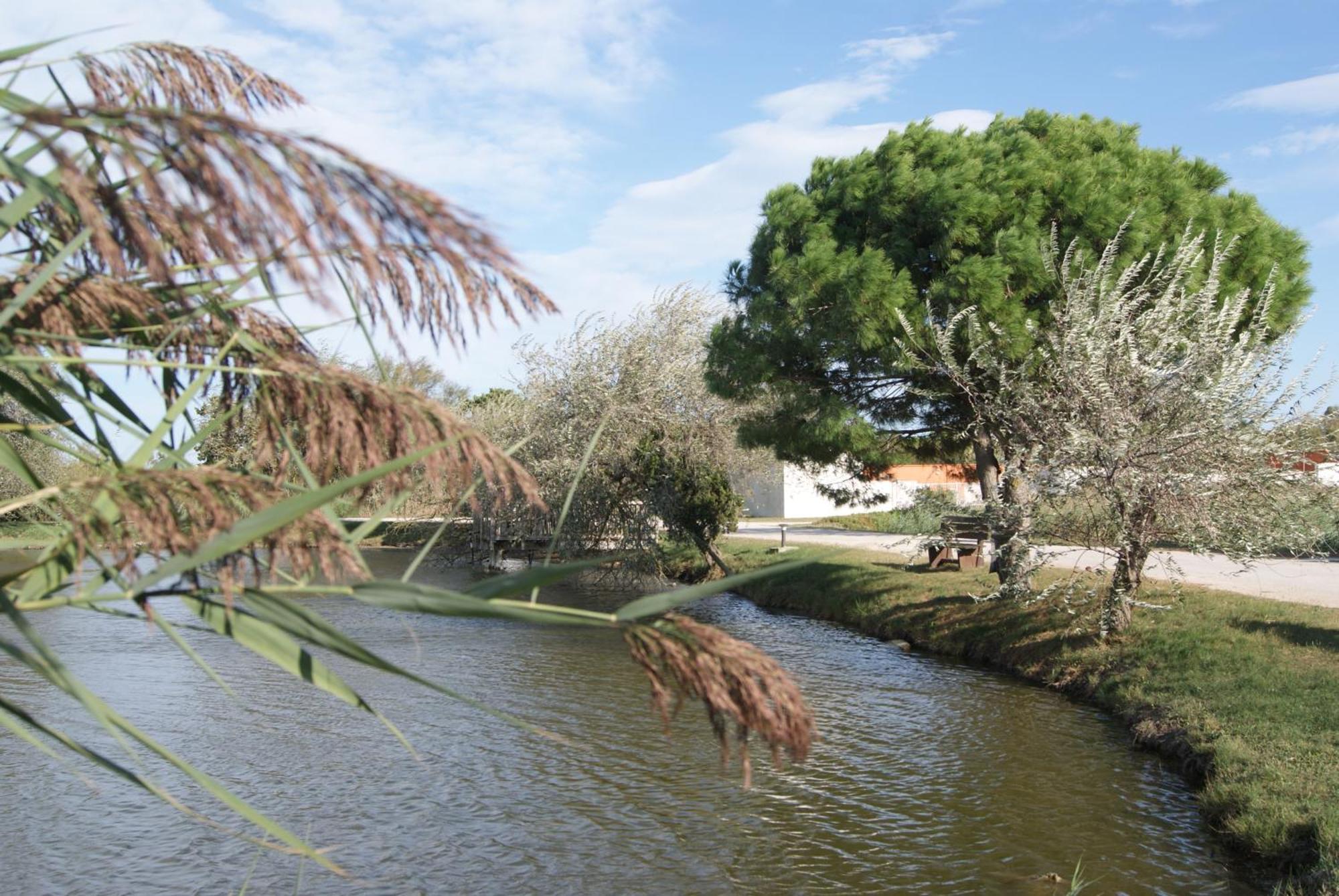 Les Rizieres Hotel Saintes-Maries-de-la-Mer
